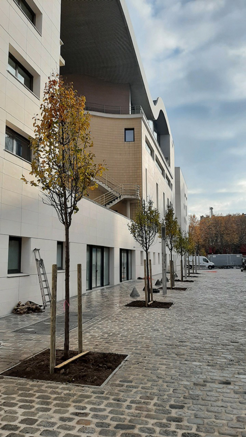 Arbres du Conservatoire