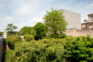 _DSC7555.jpg
