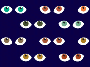 premier-festival_02.png