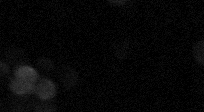 2021-22 Nuit de l'impro