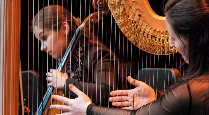 ©Ferrante-Ferranti CNSMDP 2013-14 Ensemble