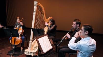 ©Ferrante-Ferranti CNSMDP 2013-14 Ensemble