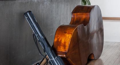 ©Ferrante-Ferranti CNSMDP 2013-14 Instrument