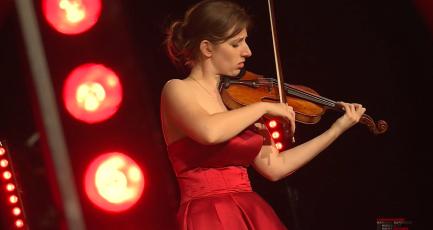 Portraits d'instrument - Violon Guadagnini